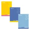 BRAUBERG / Notebook A4, 96 yaprak, zımba, kafes, karton kapak, TEK RENK / 10 adet.