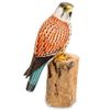 Decor and Gift / Wooden figurine "Kestrel falcon"