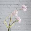 Kaemingk / Mazzo artificiale Florance Garden - Anice rosa 68 cm