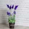Kaemingk / Flor Artificial Lavanda Imperial em um vaso de 38 cm