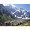 Rest and excursion service