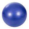 PROFI-FIT / Gymnastic ball diameter 75 cm, anti-explosion