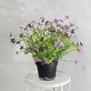 Kaemingk / Hoa giả trong chậu Daisy Purple 28 cm