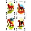 GamesDealer / Spielkarten für Hunde