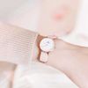 Daniel Wellington / Petite Saatler DW00100319