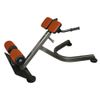 Horizontal hyperextension + press riflescope (GHD)