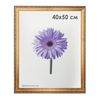 Premium frame 40x50 cm, plastic, baguette 33 mm, "Dorothy", gold