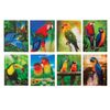 BRAUBERG / Non-ruled notebook "Parrots" SMALL FORMAT 40 sheets A7, 64x82 mm, gluing, plastic 3D cover, assorted