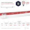 ЭРА / LED tube lamp Eco, 18 W, 25000 h, 1200 mm, cool white, ECO LED T8-18W-865-G13-1200mm