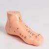 Сималенд / Foot acupuncture model, 13 cm