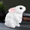 Хорошие сувениры / Piggy bank "Bunny is worth"