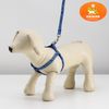 Пижон / Dude / Set "Star bones", width 1 cm, blue