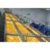 MANGO CUBES IQF FROZEN FROM THE MANUFACTURER