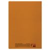 BRAUBERG / Notebook A4, 40 sheets, "Metropolis", staple, cage, plastic cover, ORANGE / 10 pcs.