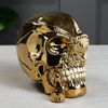 Керамика ручной работы / Piggy bank "Skull Pirate with a pipe"