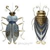 Kaemingk / Wall decor Salvatore 45 cm, 2 pieces, pendant