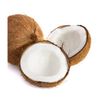 COCONUT SKU: 0043
