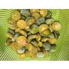 Frozen calamansi