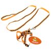 Пижон / Dude / Set reflective "Bones", width 1 cm, orange