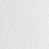 FABRIANO / Pastel paper 1 sheet Tiziano A2 + (500x650 mm), 160 g / m2, white
