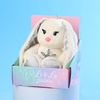 Зайки Li&Lu / Soft toy "Sweet Li"