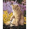 ВанГогВоМне / VanGogVoMne / Paint by number "Lazy cat" 40x50 cm