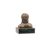 Золотая антилопа / Bust "Tsoi V.R."