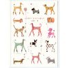 TURNOWSKY / Postcard "Dogs"