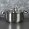 Доляна / Doliana / Casserole "Grette", 4.2 l, d = 22 cm, with glass lid, capsule bottom