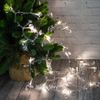 Kaemingk / Светодиодная гирлянда Бриллиантовое Сияние 1.8 м 30 теплых белых LED ламп, прозрачный ПВХ, IP20