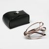 Сималенд /  Corrective glasses foldable in a case