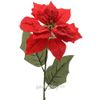 Kaemingk / Poinsettia on stem 67 cm red