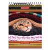 BRAUBERG / Carnet "Chatons" PETIT FORMAT 80 feuilles A6, 105x150 mm, peigne, carton dur, cage