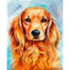 Опт-картина / Painting by numbers 40x50 Spaniel