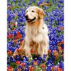 Опт-картина / Peinture par numéro 40x50 Golden Retriever