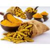 Turmeric root