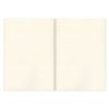 Skitzbook, ivory 100 g/m2, 297 x420 mm, 120 sheets, firmware, BRAUBERG ART "CLASSIC"