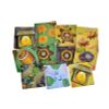 GamesDealer / Jackal: Archipelago. Jolly Roger Island