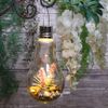 Kaemingk / Solar pendant lamp Flora Solar lamp 22 cm with pink flower, IP44