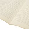 BRAUBERG / Notebooks 60 l. checkered cover SoftTouch, SET 2 pcs., beige paper 70 g / m2, stitching, B5 (179x250 mm), FANTASY