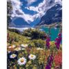 Опт-картина / Painting by numbers 40x50 GX 33514 Blooming coast