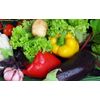 Vegetables from Serbia - direct supply of vegetables from manufacturers