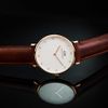 Daniel Wellington / Orologi di classe DW00100075