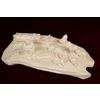 Тобольская фабрика художественных косторезных изделий / Tobolsk Factory of Artistic Bone Carving Products / Sculpture "Fishing"