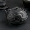 Доляна / Dolana / Teapot "Golden Dragon", with a sieve, 700 ml, with an enamel coating inside, black
