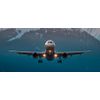 International air cargo transportation Logimex