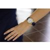 Michael Kors / Наручные часы Dylan MK2490