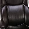 BRABIX PREMIUM "Favorite EX-577" office chair, spring block, recycler. leather, brown