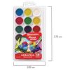 Watercolor BRAUBERG "MAGIC COLOR" 18 flowers, honey, round cuvettes, plastic pencil case