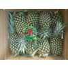 Fresh pineapple Tmt Foods